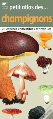 Capa do artigo Petit Atlas Des Champignons