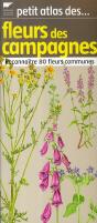 Petit Atlas Des Fleurs ; Reconnaître 80 Fleurs Communes - Preview