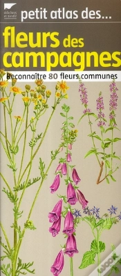 Capa do artigo Petit Atlas Des Fleurs ; Reconnaître 80 Fleurs Communes