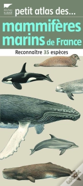 Petit Atlas Des Mammiferes Marins De Fra