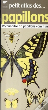Petit Atlas Des Papillons ; Reconnaître 50 Papillons Communs