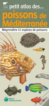 Petit Atlas Des Poissons De Méditerranée ; Reconnaître 65 Espèces De Poissons