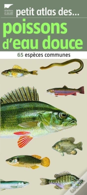 Capa do artigo Petit Atlas Des Poissons D