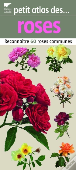 Capa do artigo Petit Atlas Des Roses
