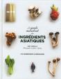 Petit Dictionnaire Des Ingredients Asiatiques - Preview
