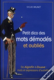 Capa do artigo Petit Dictionnaire Des Mots Demodes Et Oublies