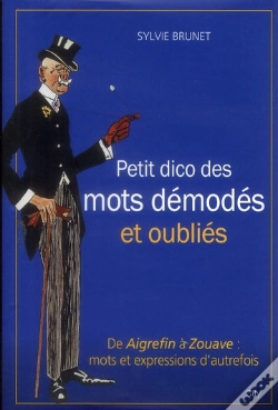 Capa do artigo Petit Dictionnaire Des Mots Demodes Et Oublies
