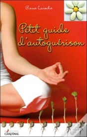 Capa do artigo Petit Guide D