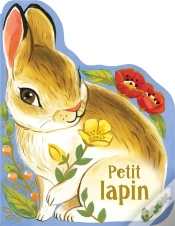 Capa do artigo Petit Lapin