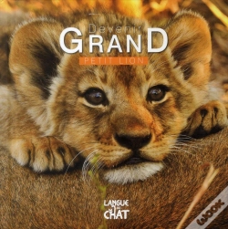 Capa do artigo Petit Lion