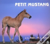 Petit Mustang