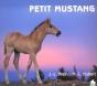 Petit Mustang - Preview