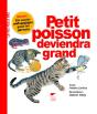 Petit Poisson Deviendra Grand - Preview
