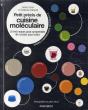 Petit Précis De Cuisine Moléculaire - Preview