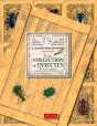 Petite Collection D'Insectes De Nos Régions - Preview