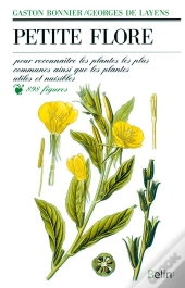 Petite Flore