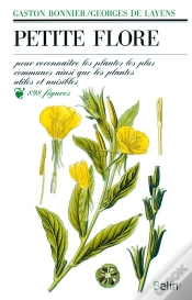 Capa do artigo Petite Flore