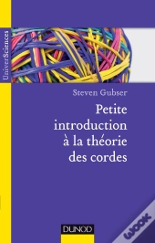 Petite Introduction À La Théorie Des Cordes