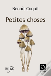 Capa do artigo Petites Choses