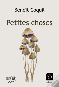 Capa do artigo Petites Choses