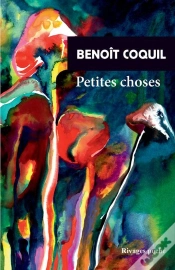 Capa do artigo Petites Choses