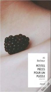 Capa do artigo Petites Pieces Pour Un Puzzle