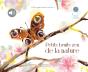 Petits Bruits Zen De La Nature - Preview