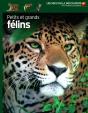 Petits Et Grands Félins - Preview