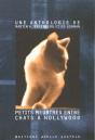 Petits Meurtres Entre Chats A Hollywood - Preview