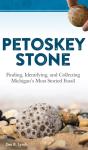 Petoskey Stone - Preview