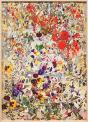 Petra Cortright - Preview