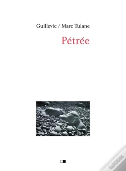 Capa do artigo Pétrée