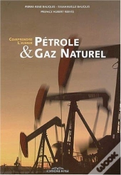 Petrole Et Gaz Naturel ; Comprendre L'Avenir