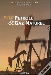 Capa do artigo Petrole Et Gaz Naturel ; Comprendre L