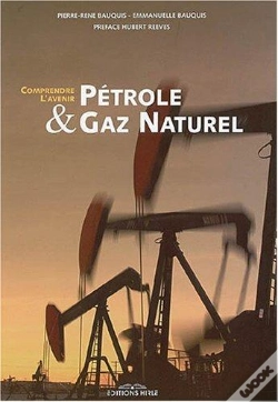 Capa do artigo Petrole Et Gaz Naturel ; Comprendre L'Avenir