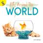 Pets Around The World - Preview