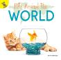 Pets Around The World - Preview