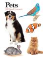 Pets - Preview