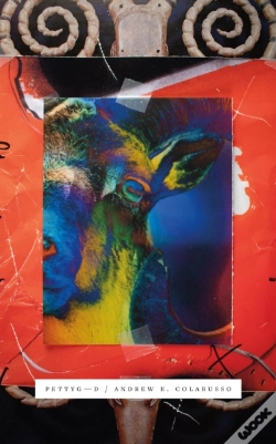 Capa do artigo Pettygod