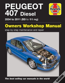Capa do artigo Peugeot 407