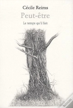 Capa do artigo Peut-Être