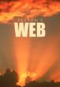 Peyton'S Web - Preview