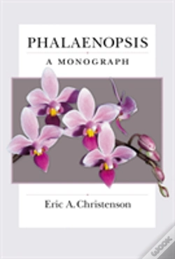 Capa do artigo Phalaenopsis