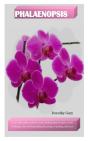 Phalaenopsis - Preview