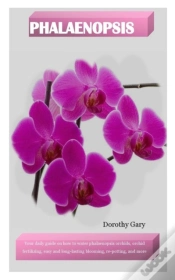 Capa do artigo Phalaenopsis