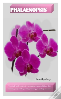 Capa do artigo Phalaenopsis