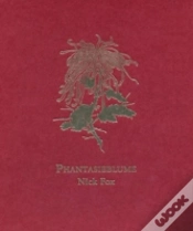 Capa do artigo Phantasieblume Nick Fox