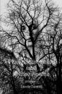 Phantasmagoria And Other Poems - Preview