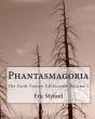 Phantasmagoria - Preview