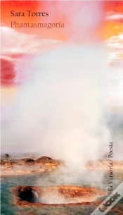 Capa do artigo Phantasmagoria